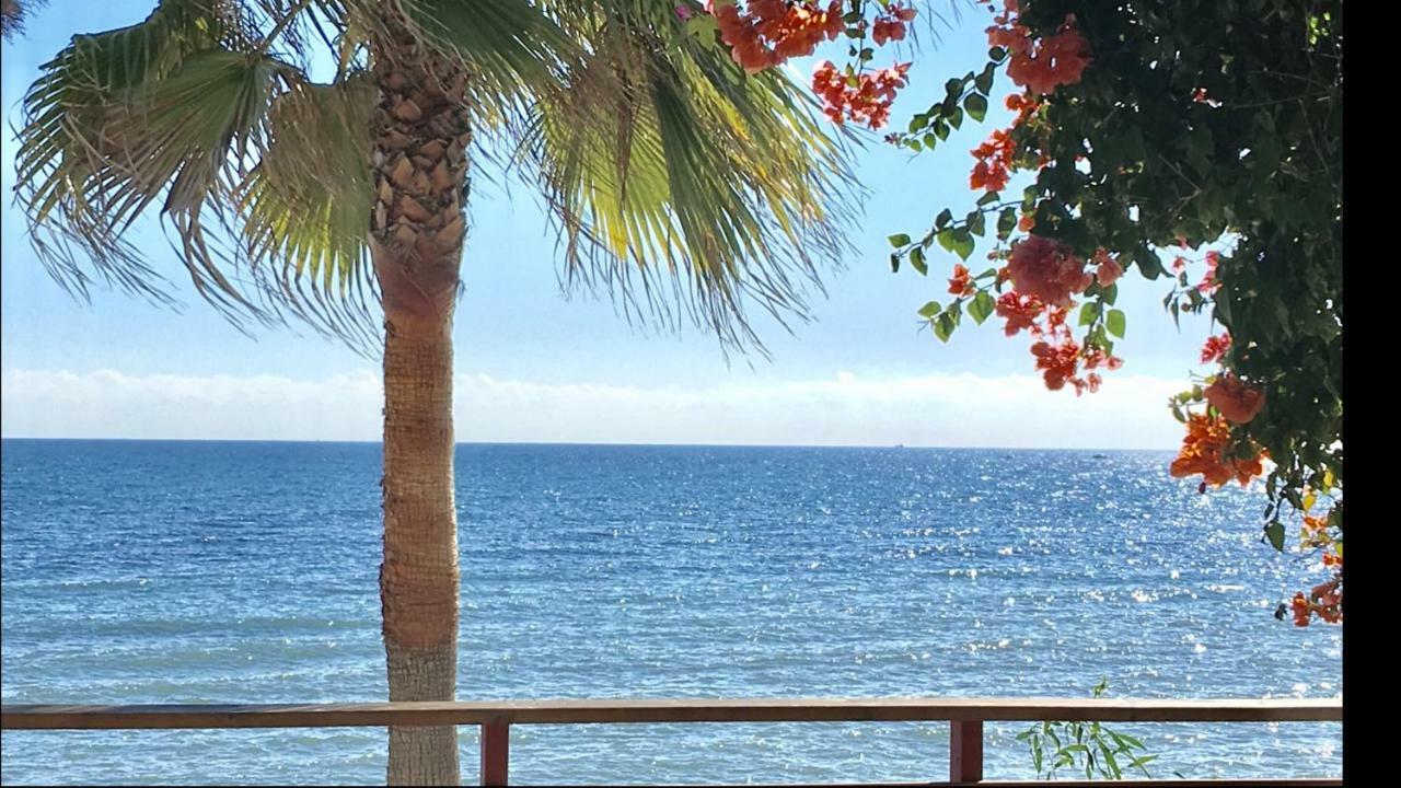Mi Capricho Beachfront- P301 Apartment With Sea View Sitio de Calahonda Екстер'єр фото